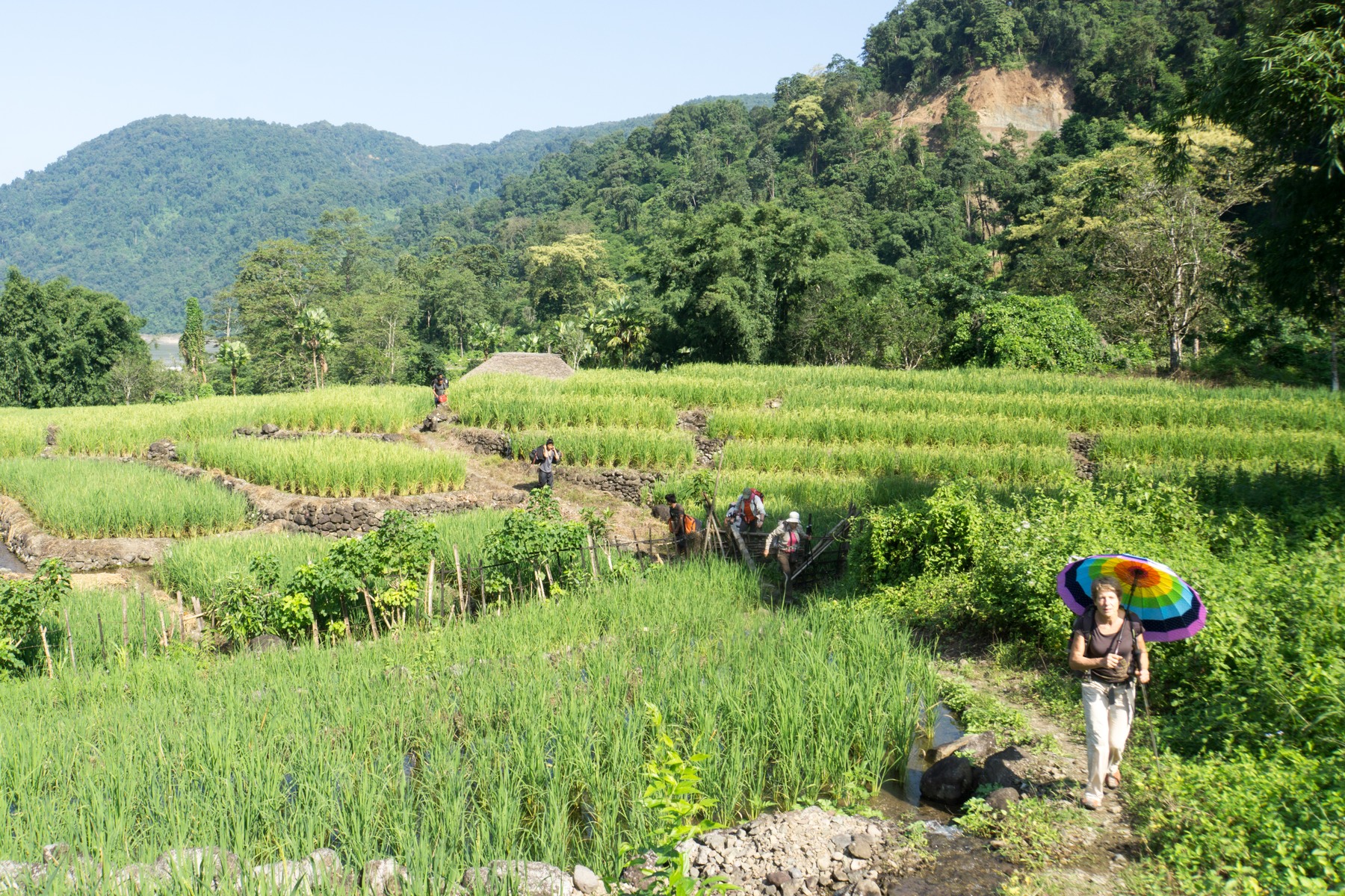 Travelers walking a path through terraced paddy fields in Arunachal Pradesh