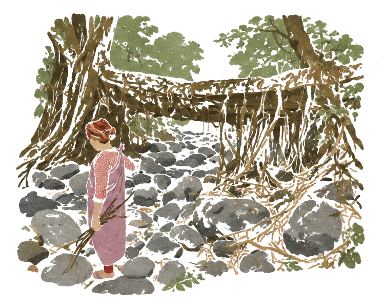 Illustration of a living root bridge of tangled roots over a rocky stream, with a Khasi woman standing beside it