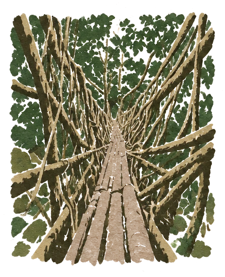 Illustration of a narrow walkway of bamboo and roots through a tunnel of hanging roots