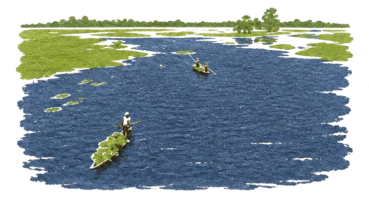 Illustration of a wide calm river through green wetland, with a small boat and floating islands of weed