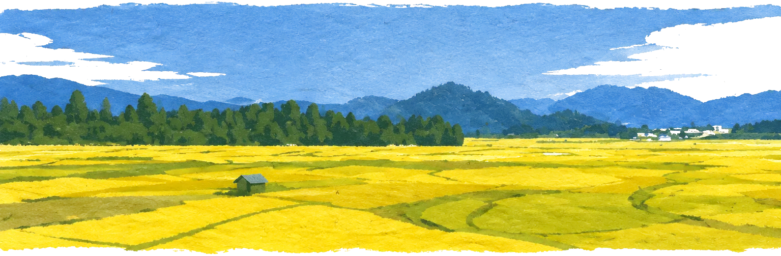 Illustration of the Ziro valley: golden rice fields with a small hut, a line of trees and blue hills under a sky with white clouds