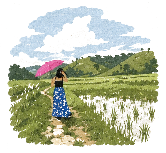 Illustration of a woman with a pink umbrella walking between rice paddies