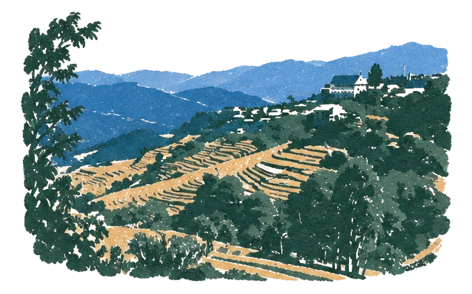 Illustration of terraced fields on green hillsides below a village on a ridge