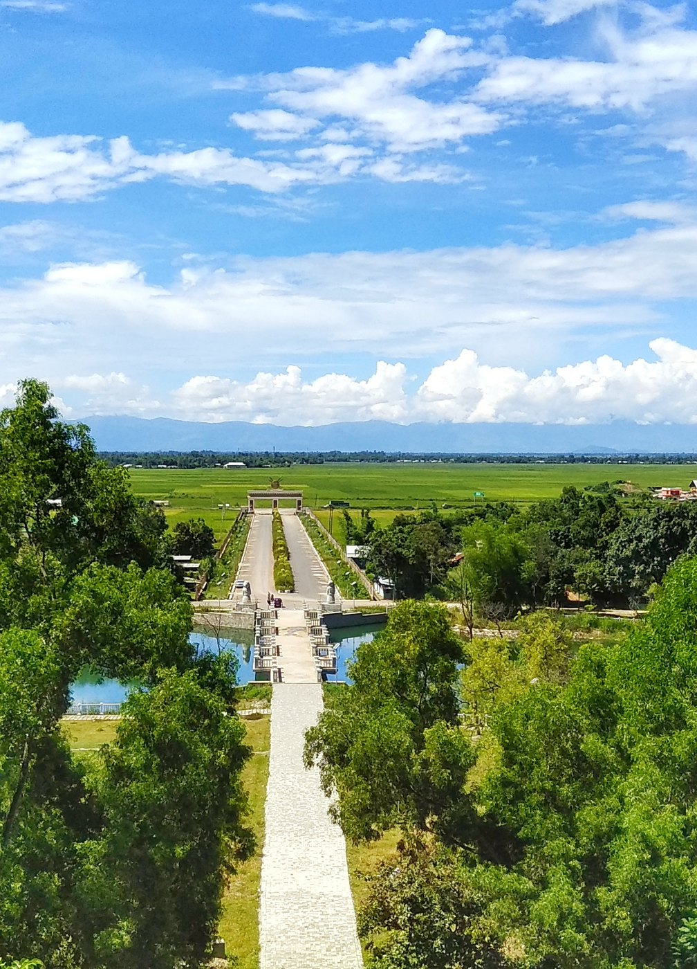 A garden causeway framed by paddy fields