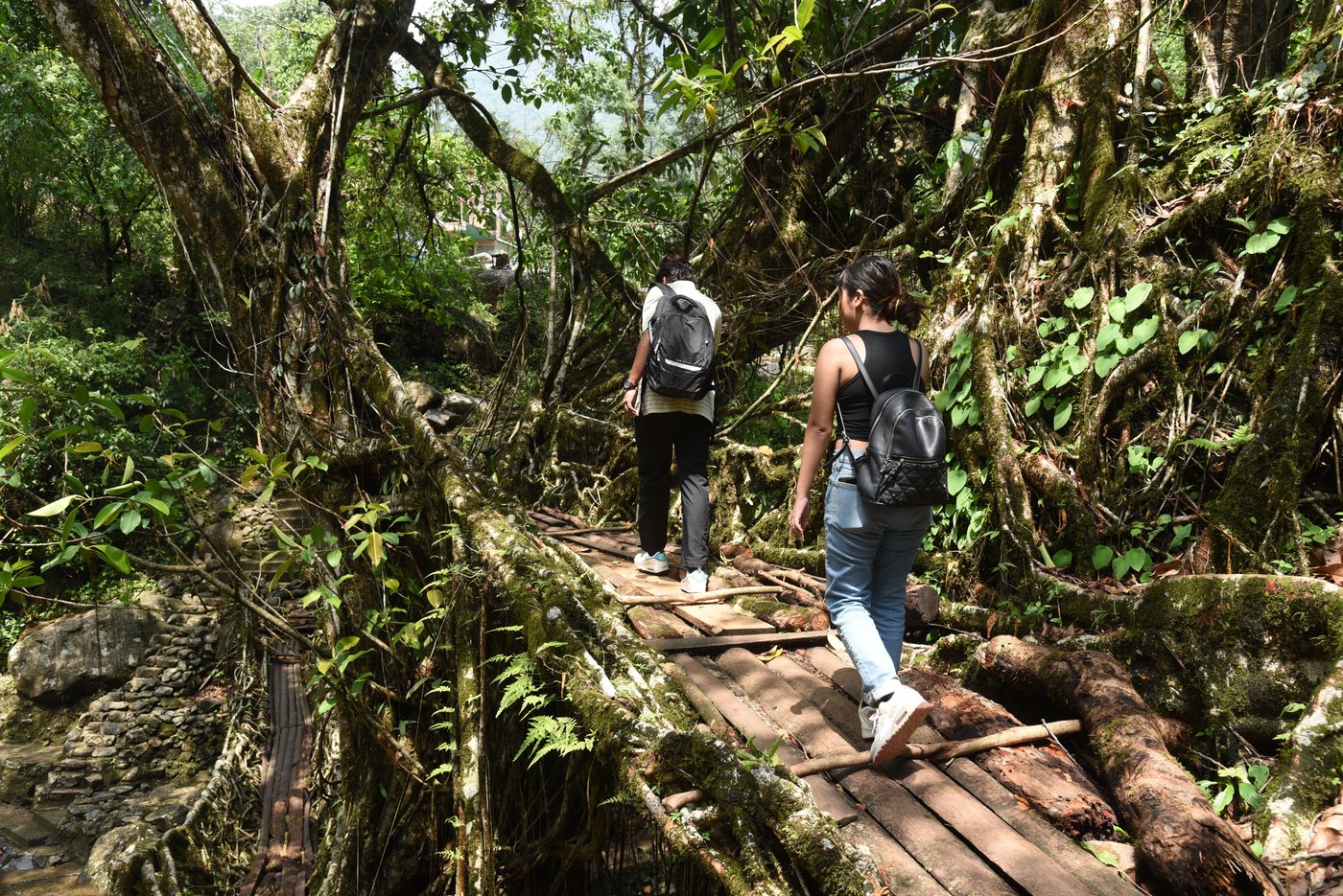 Trekkers crossing a living root bridge