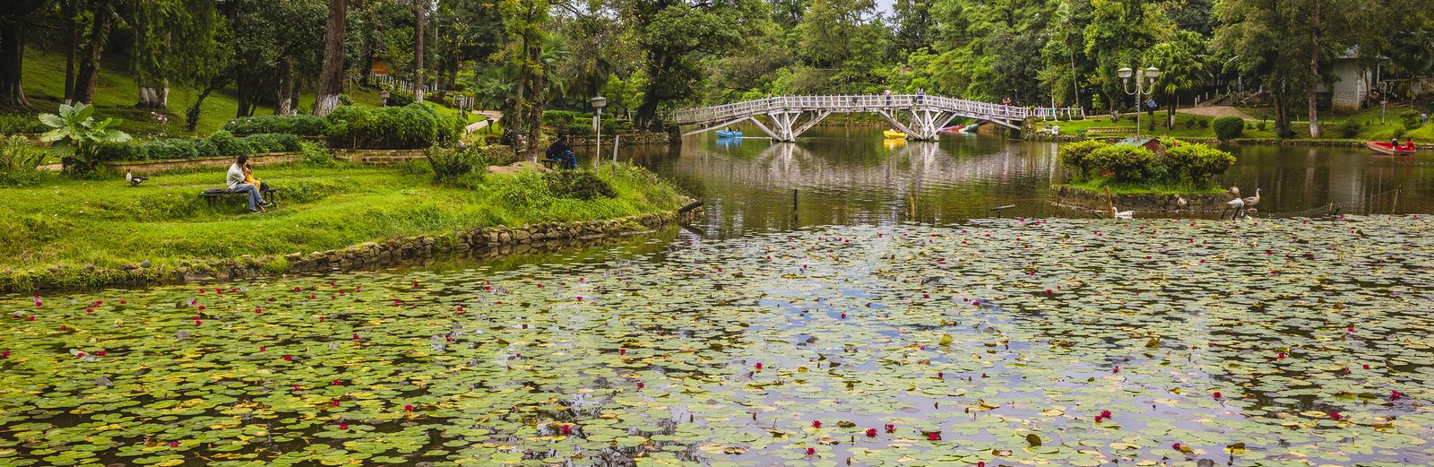 Ward's Lake in Shillong