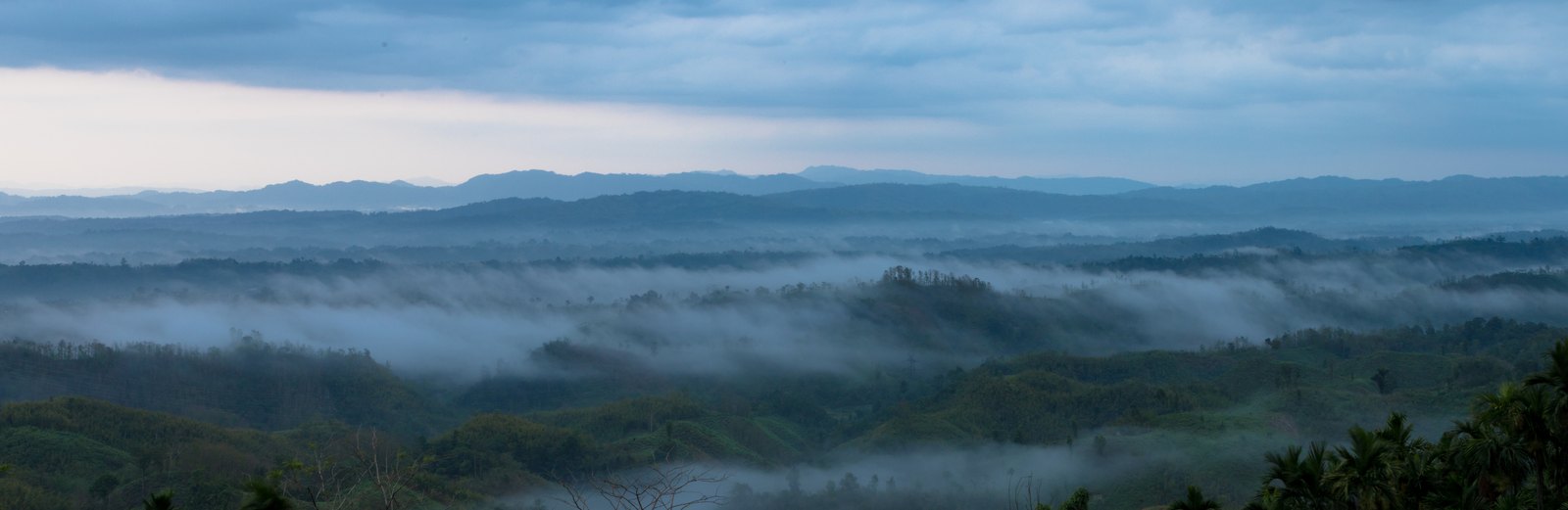 Mist over a forested valley at dawn