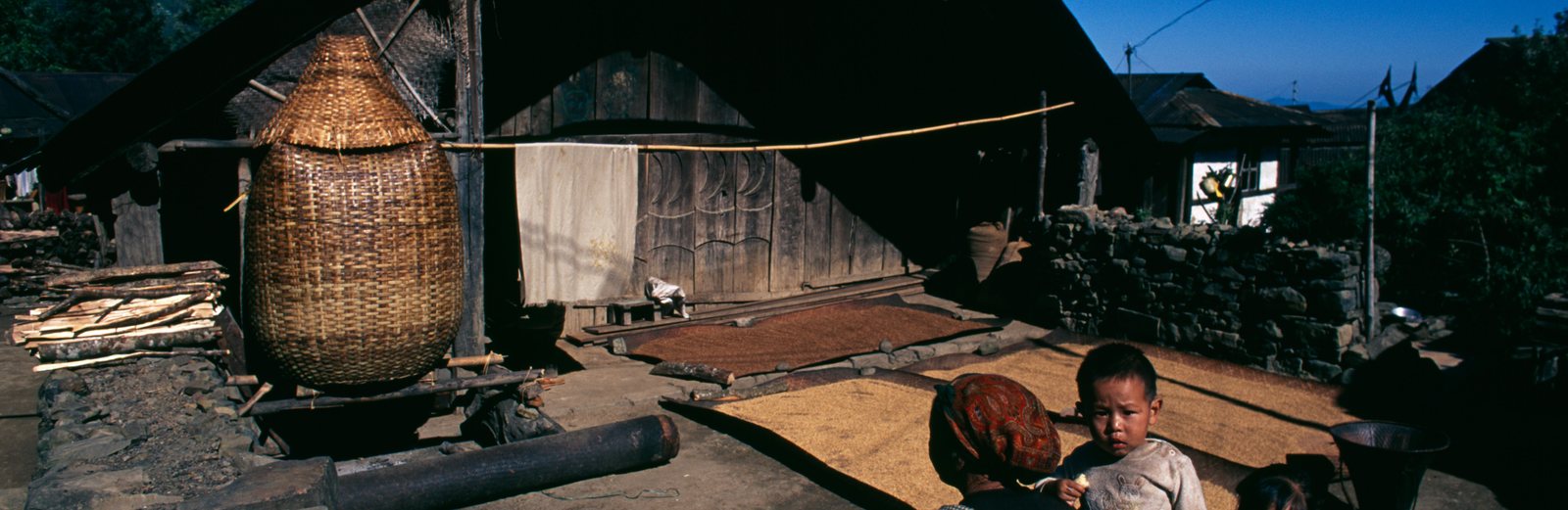 A traditional Naga village