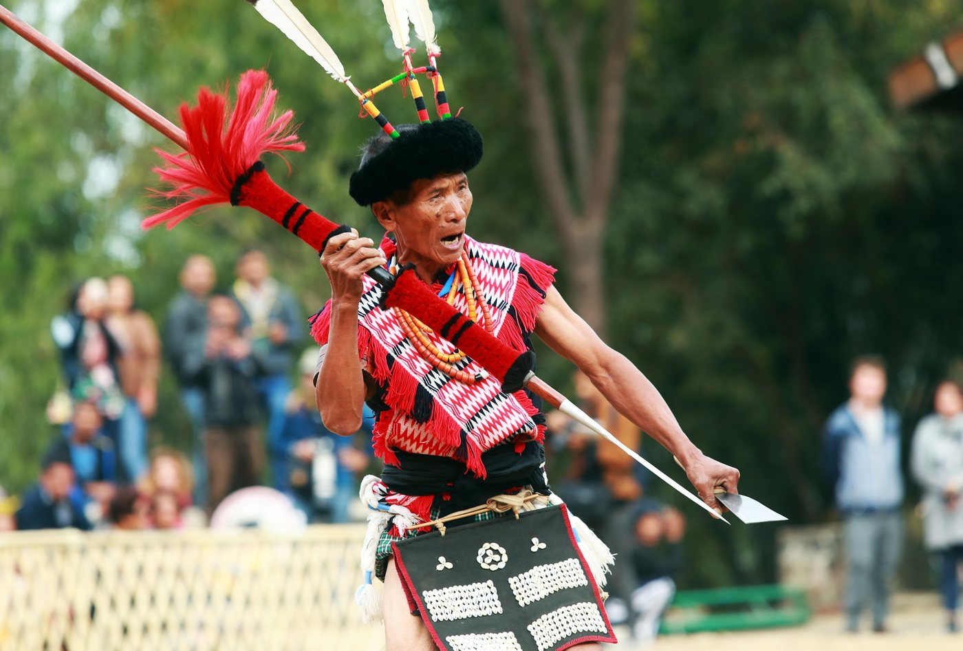 A Naga warrior in festival regalia