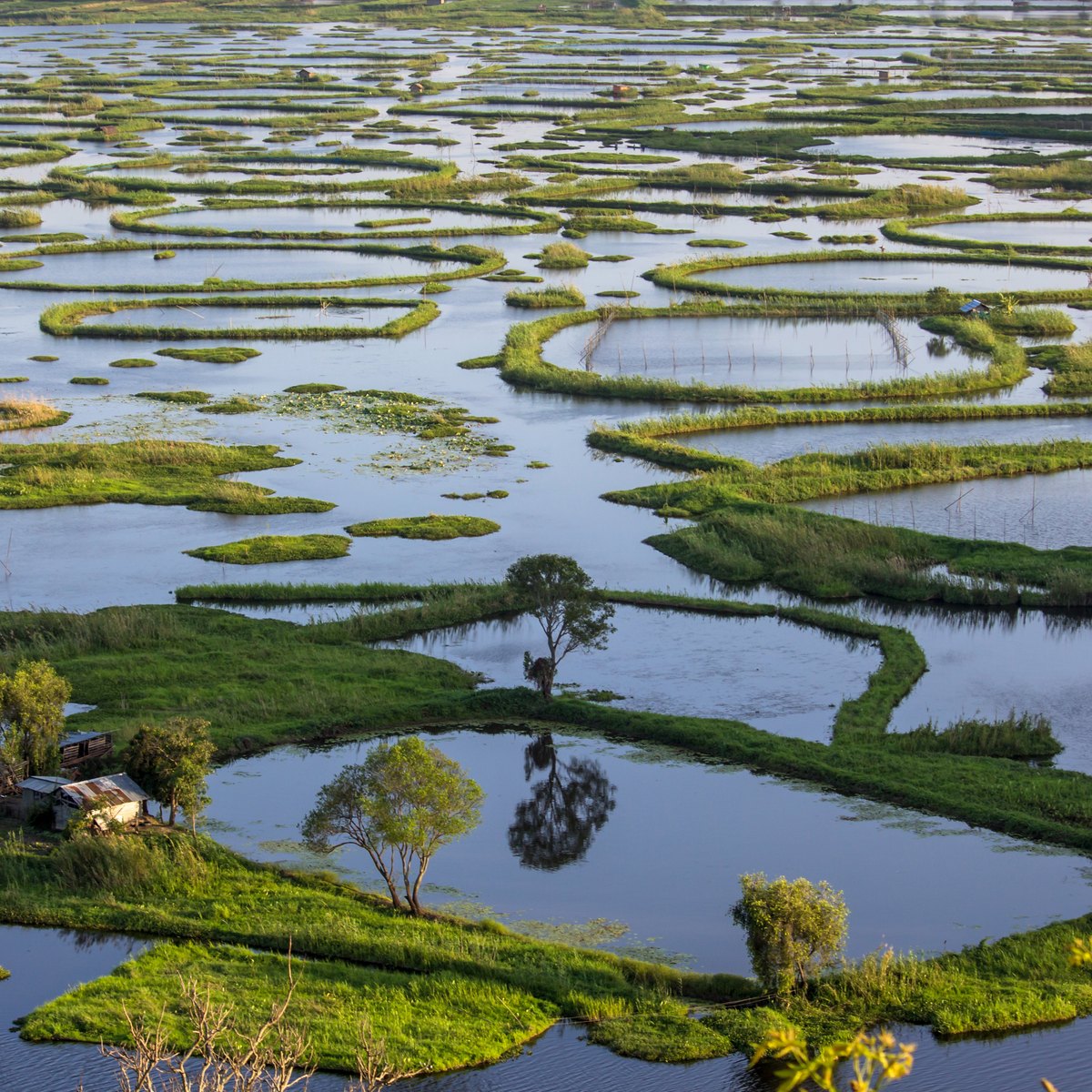 The floating islands of Loktak Lake, Manipur