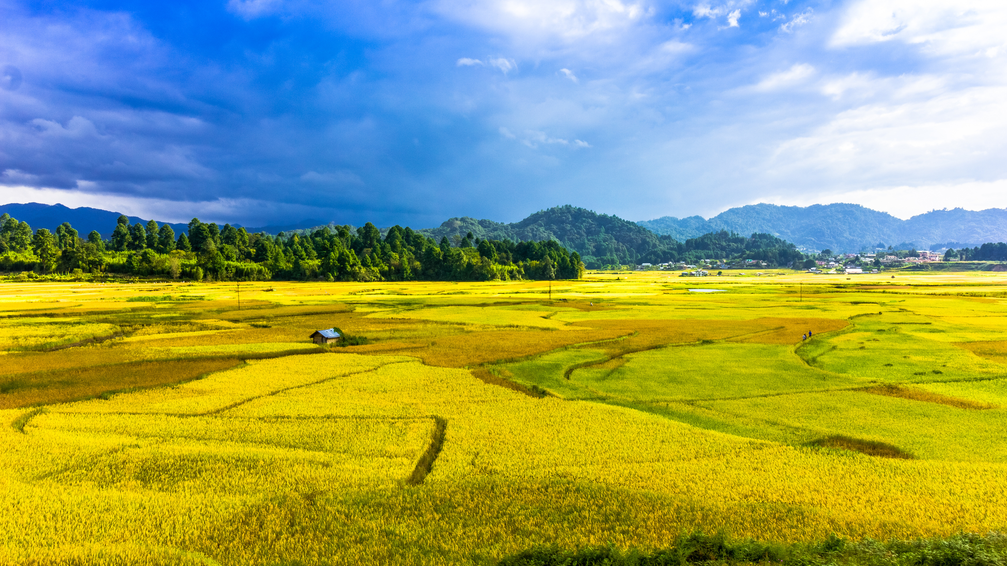 Landscape