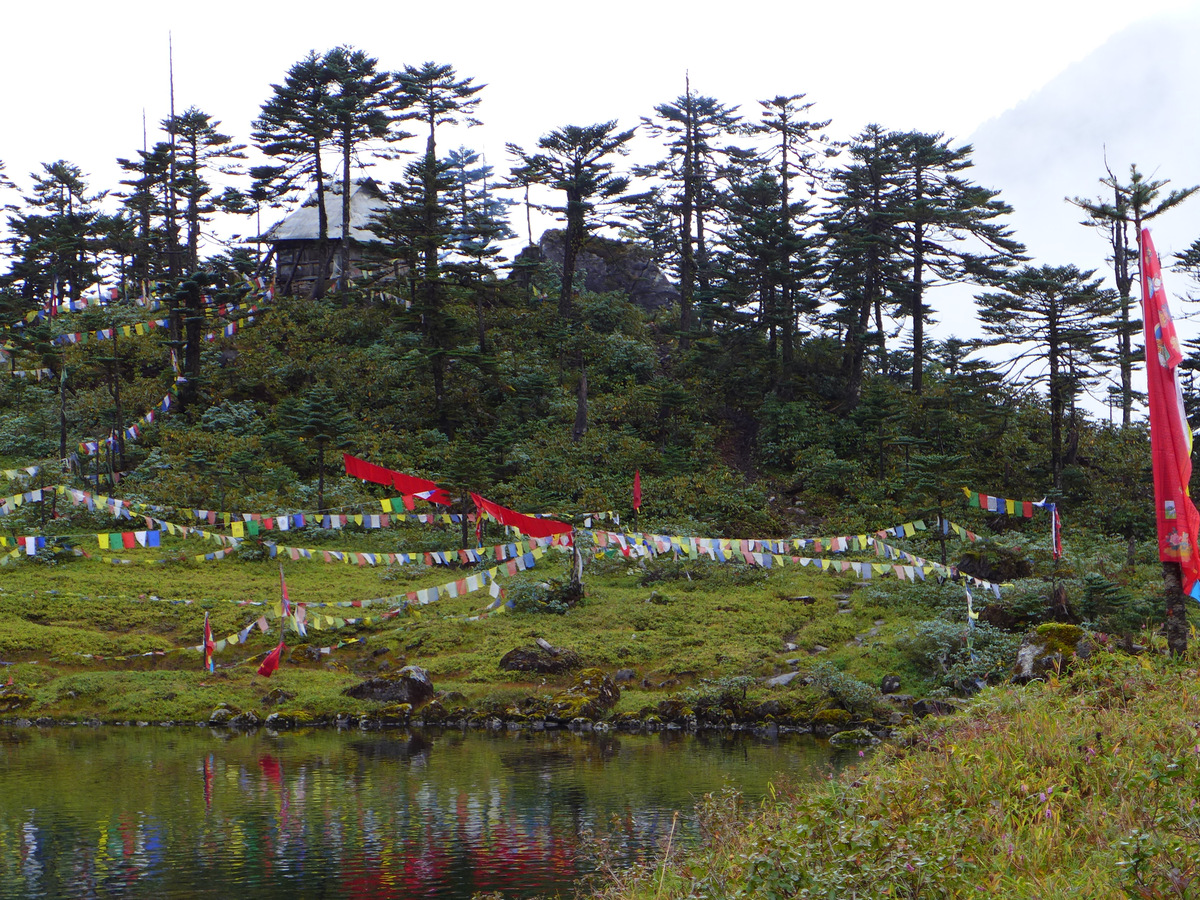 Prayer flags strung around the lake and forest at Danakosha
