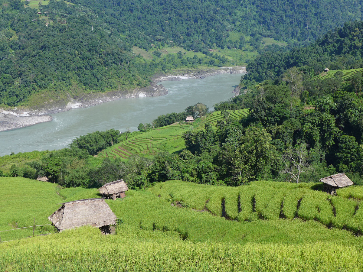 Terraced paddy fields and huts above the Siang river