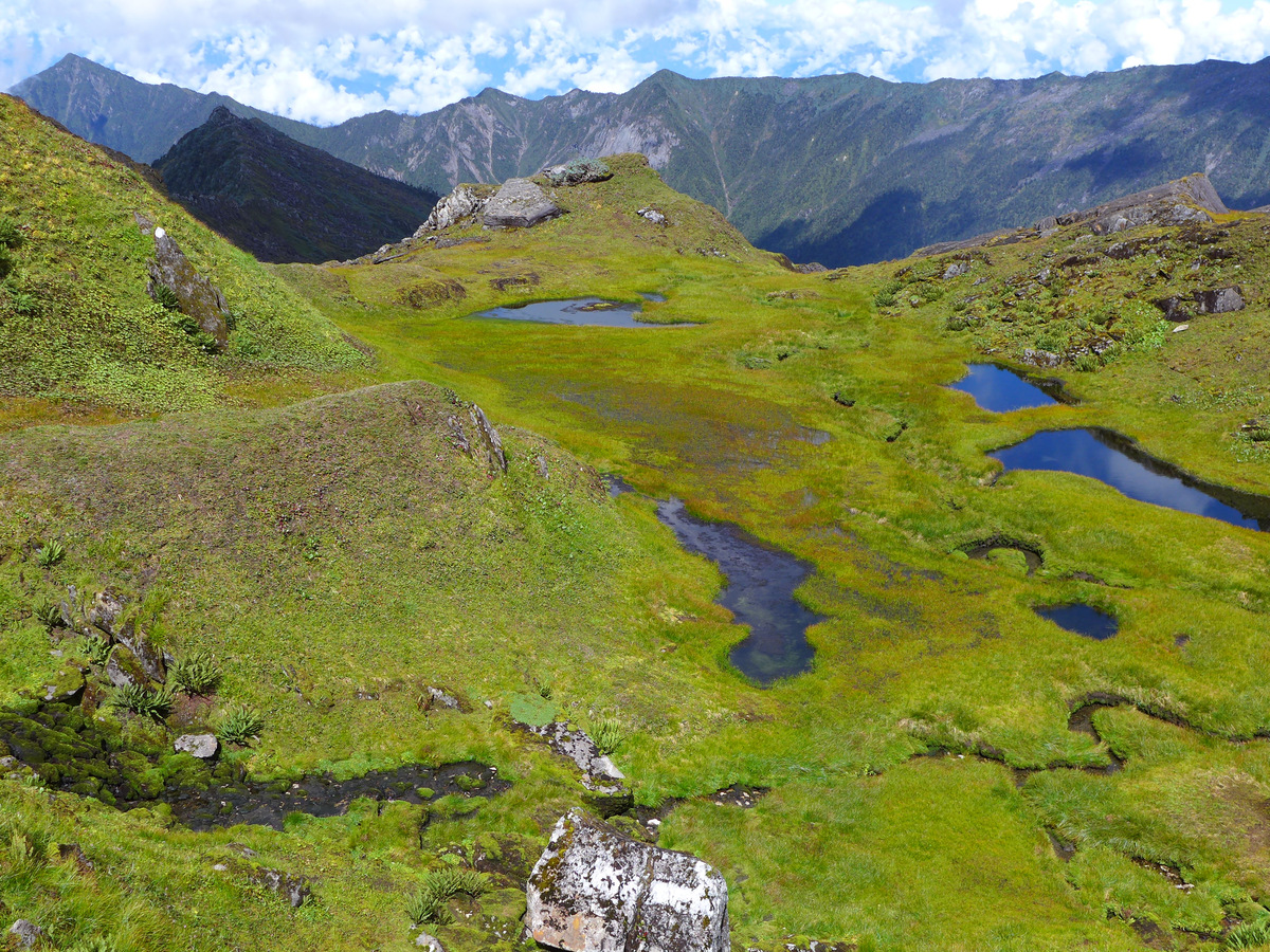 High green meadows and small lakes below the Titapuri range