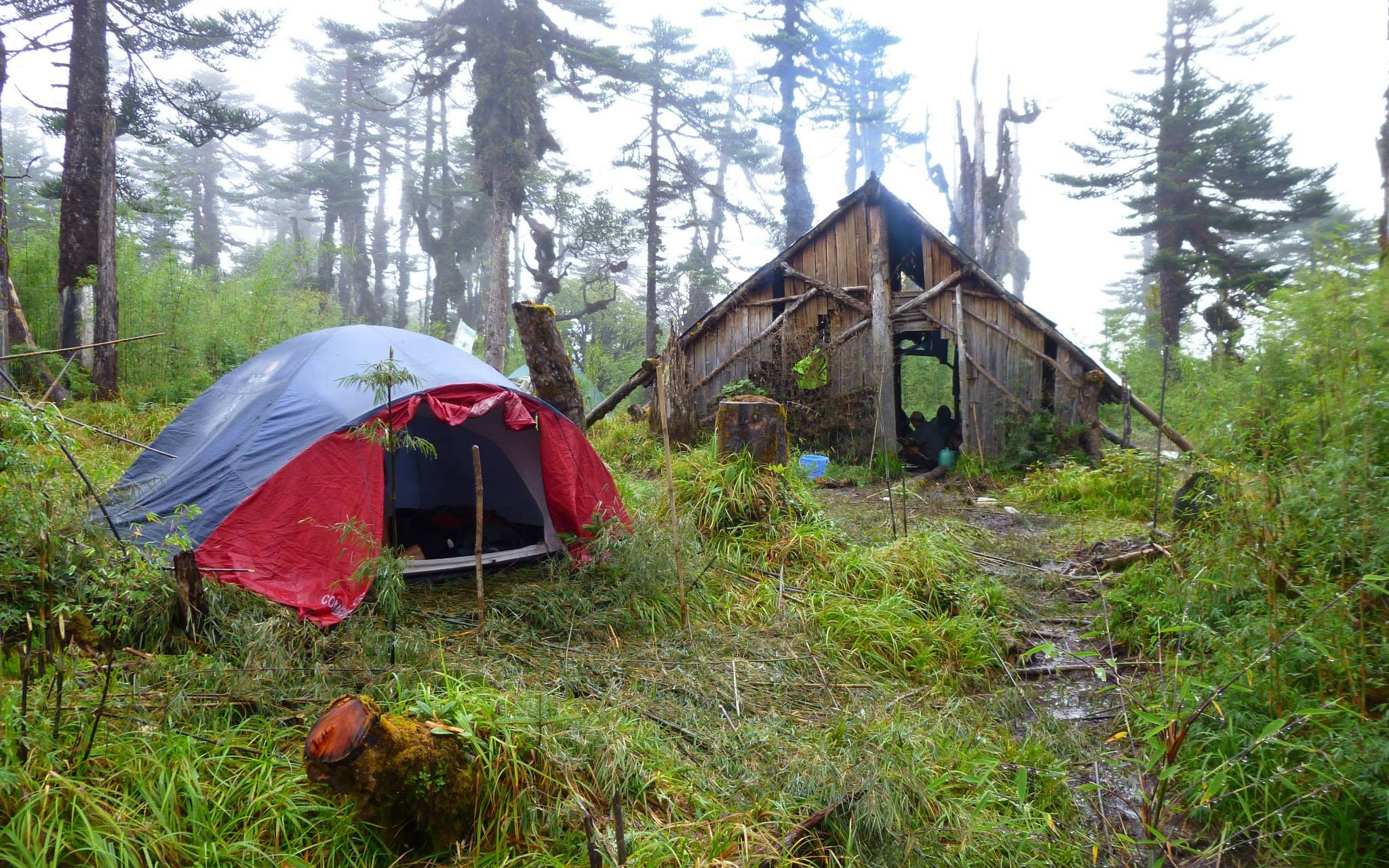 Trek to the Beyul of Pemako
