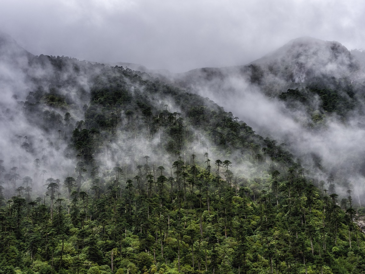Cloud pouring over a steep forested ridge