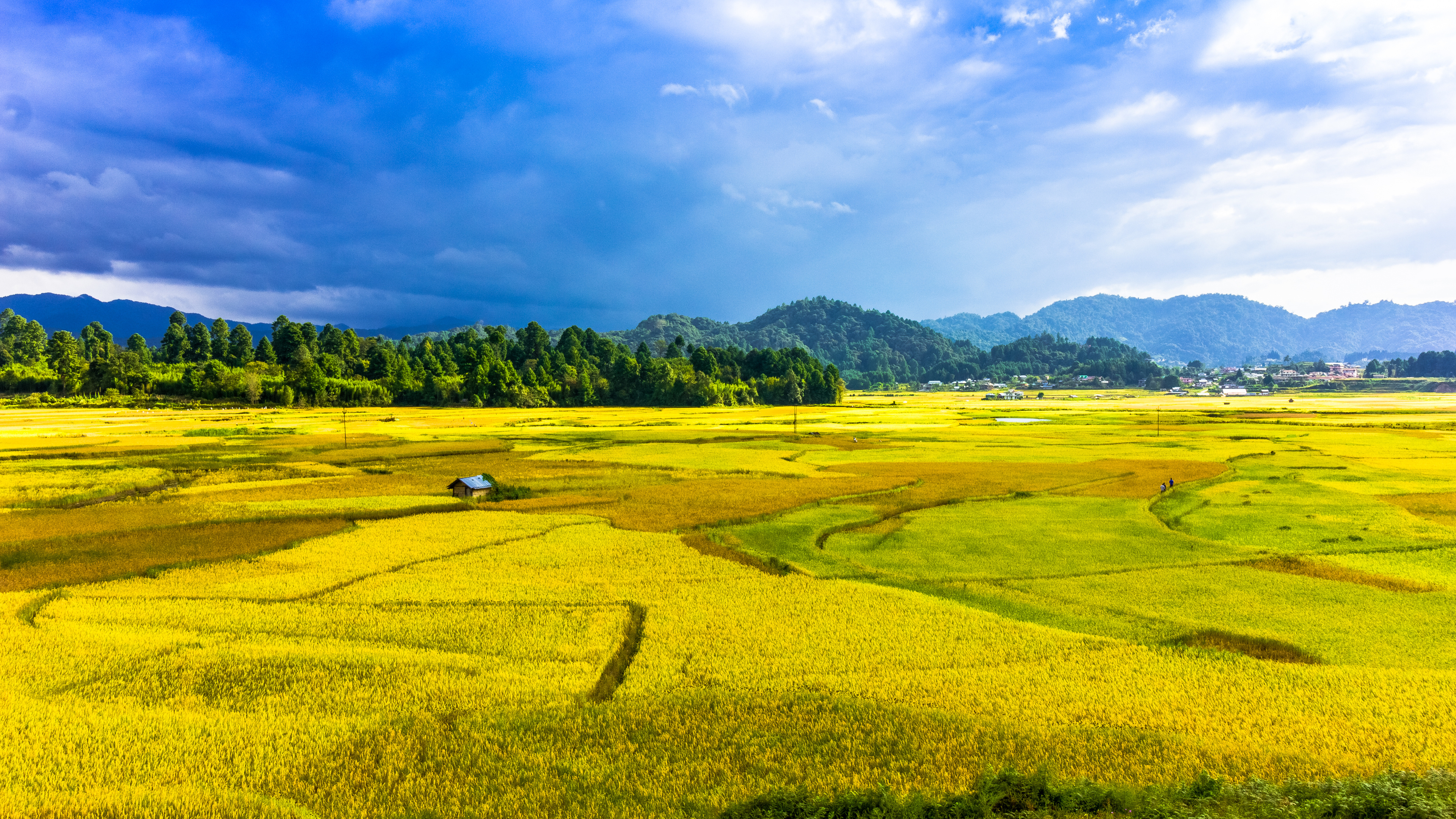 Landscape