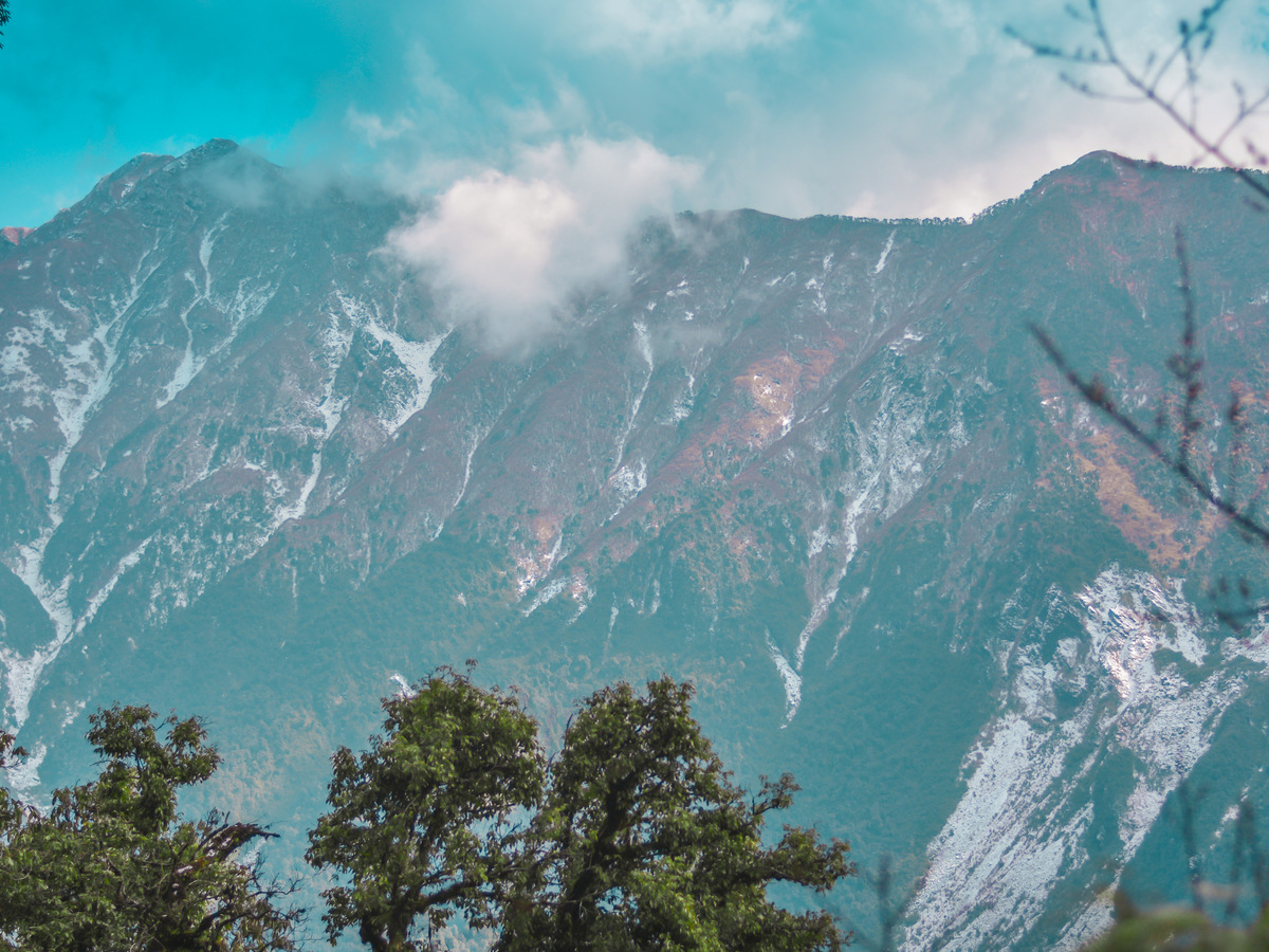 Snow-streaked mountains above the forest at Mayodia Pass