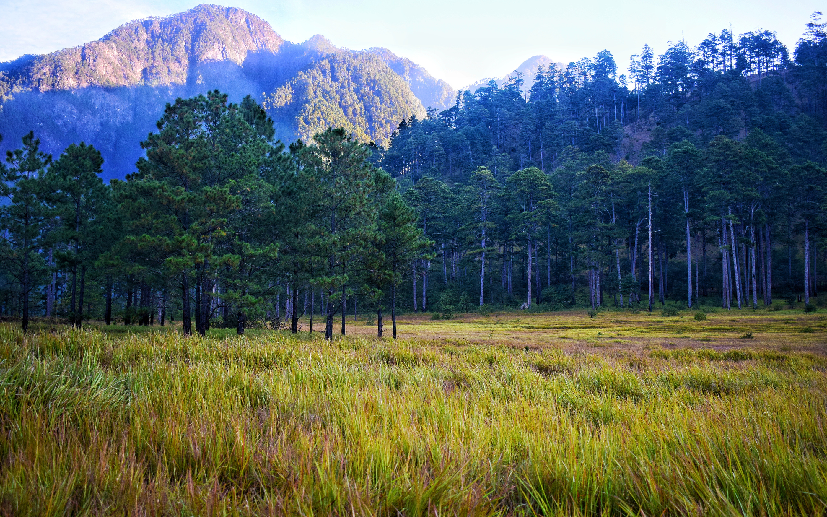 Discover Arunachal Pradesh – The Far East