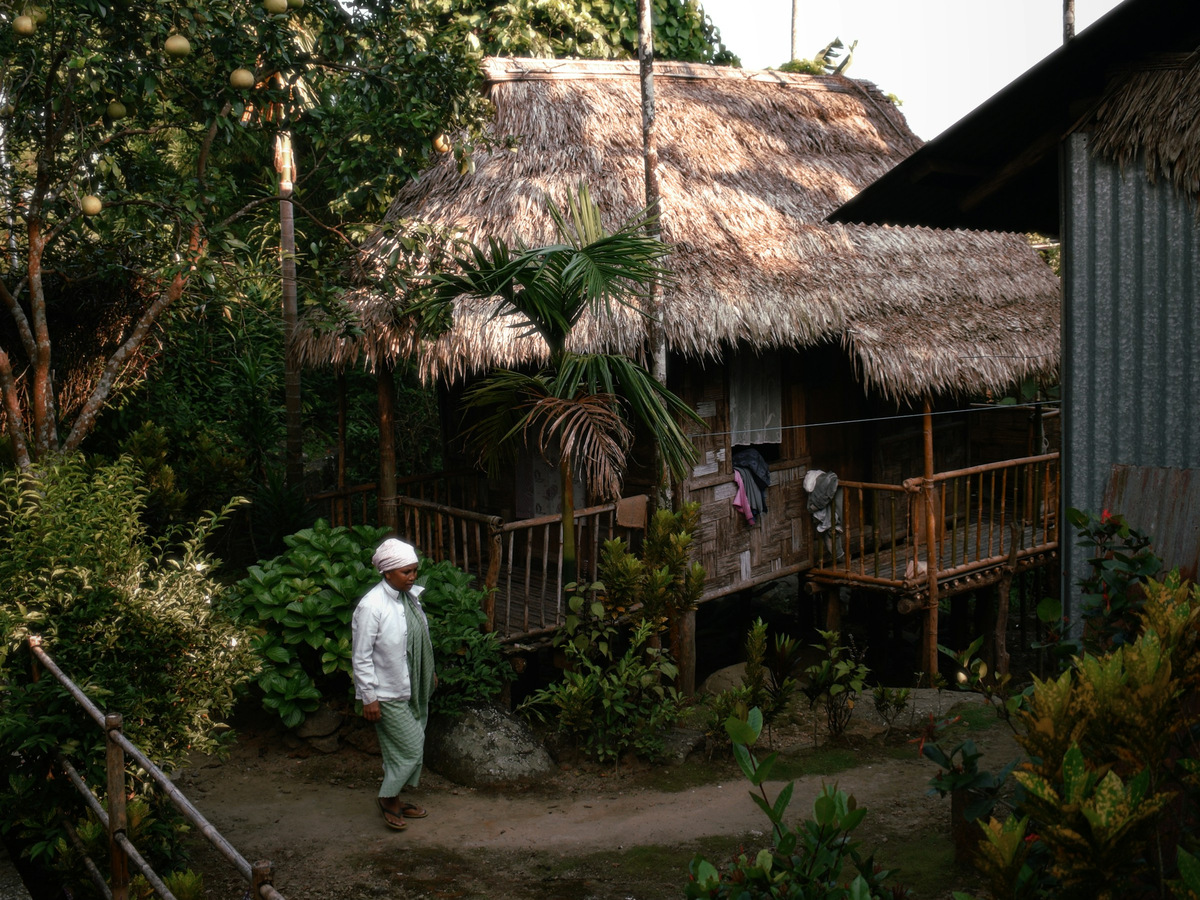 A thatched village house among palms and betel nut trees