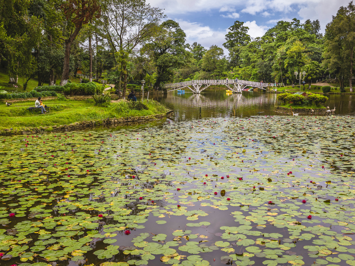 Ward’s Lake in Shillong with its footbridge and lily pads