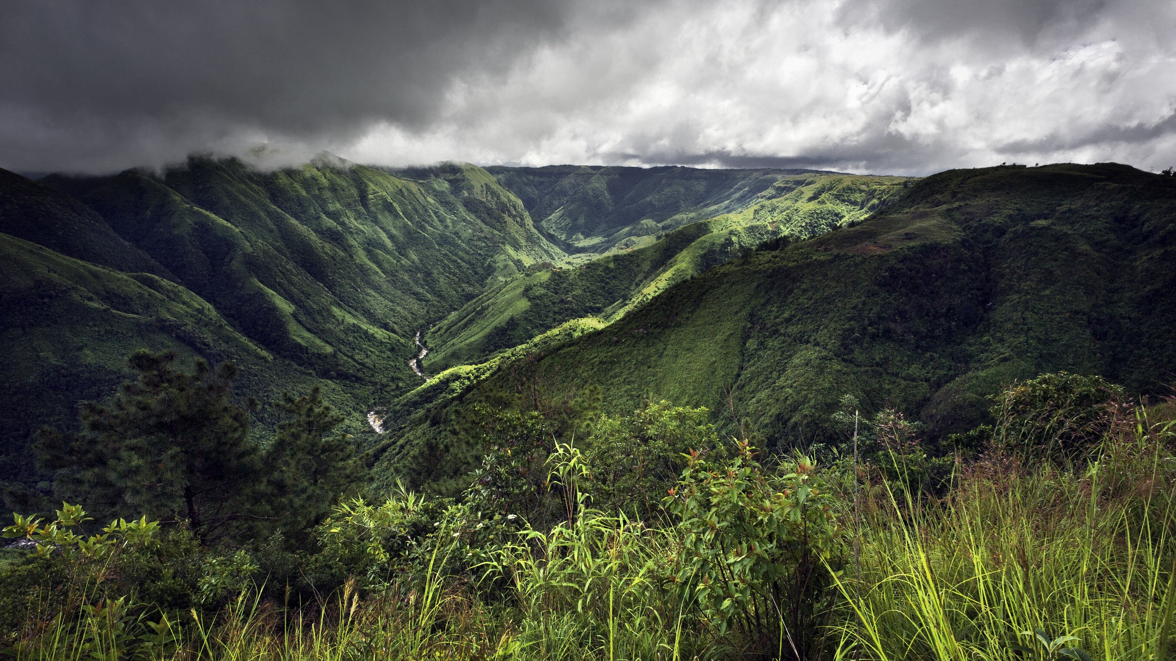 Landscape