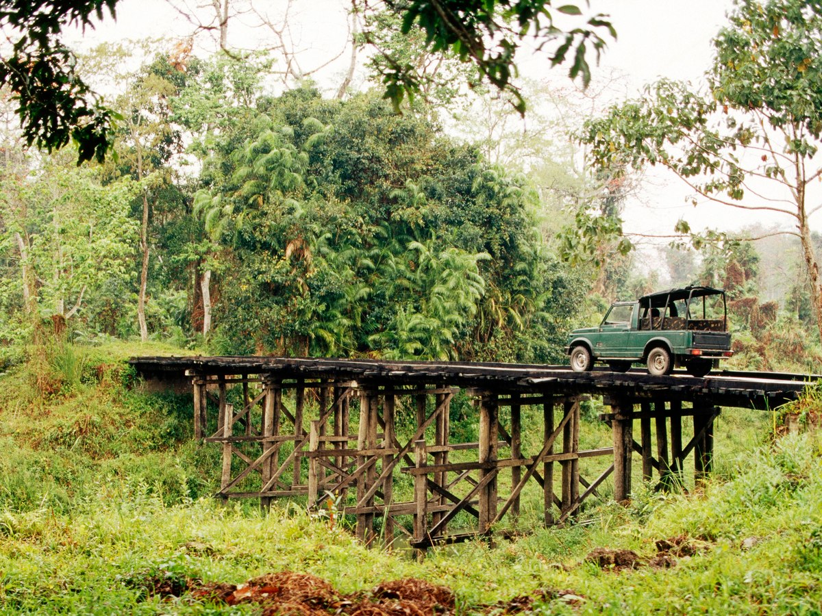 A jeep on the machan track above the grassland