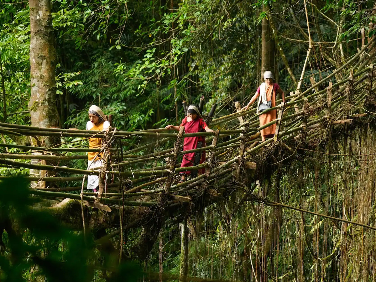 Khasi women crossing a living root bridge in the forest