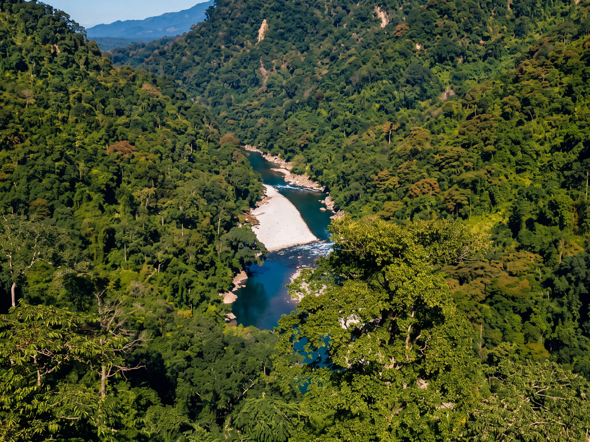 The Noa-Dihing river winding through a forested gorge