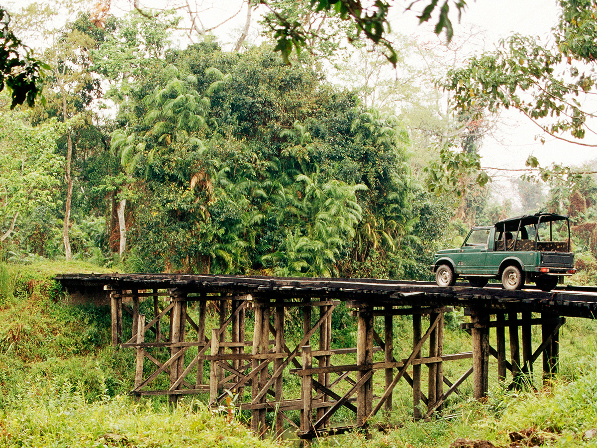 A safari jeep crossing a wooden bridge in Kaziranga forest