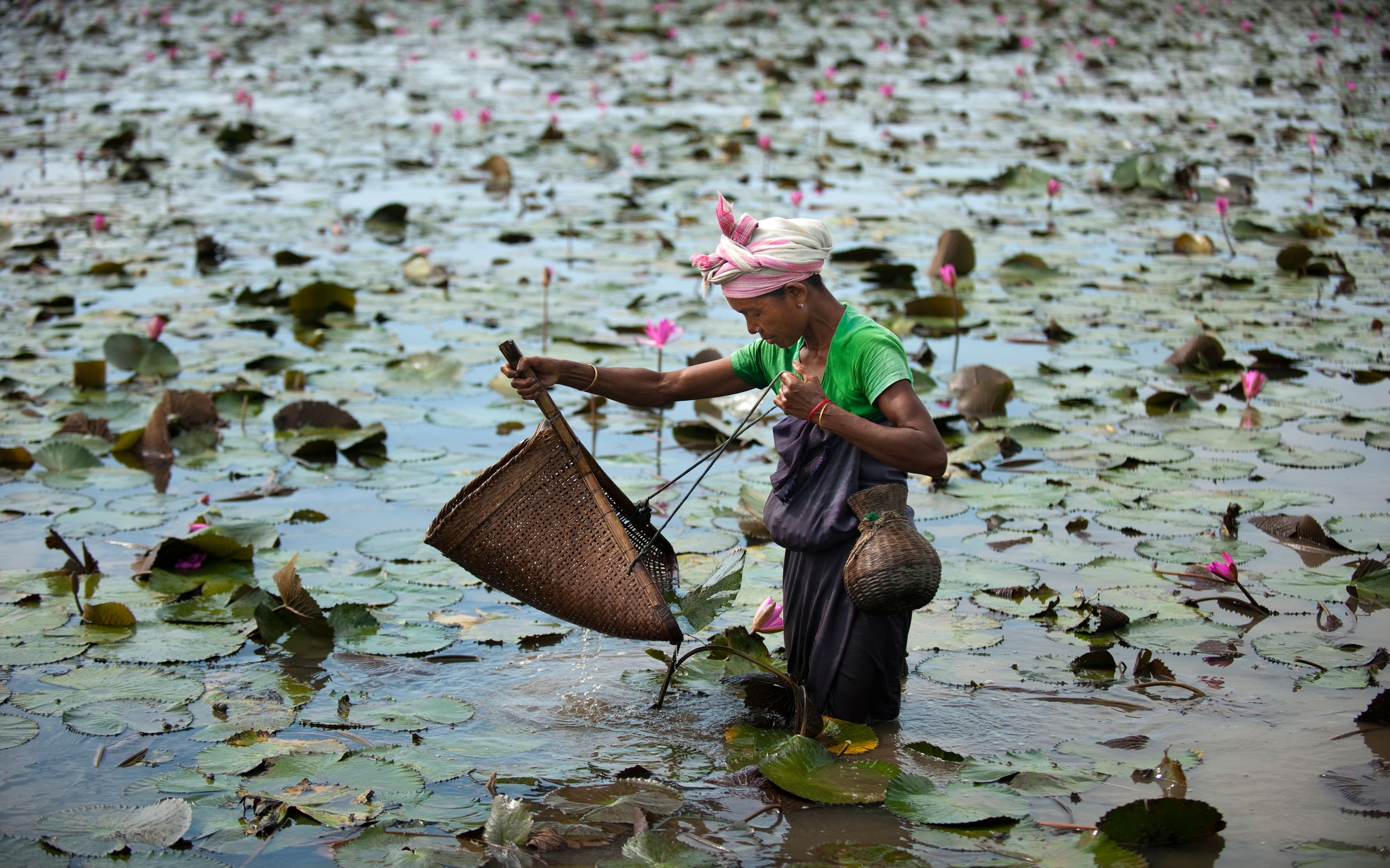 Simple Life in Rural Assam