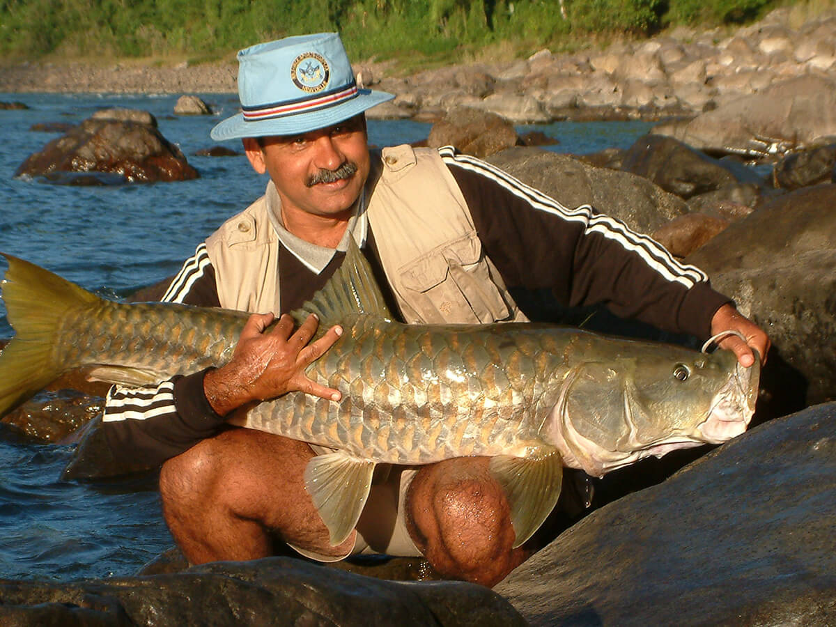An angler kneeling on river rocks holding a large golden mahseer
