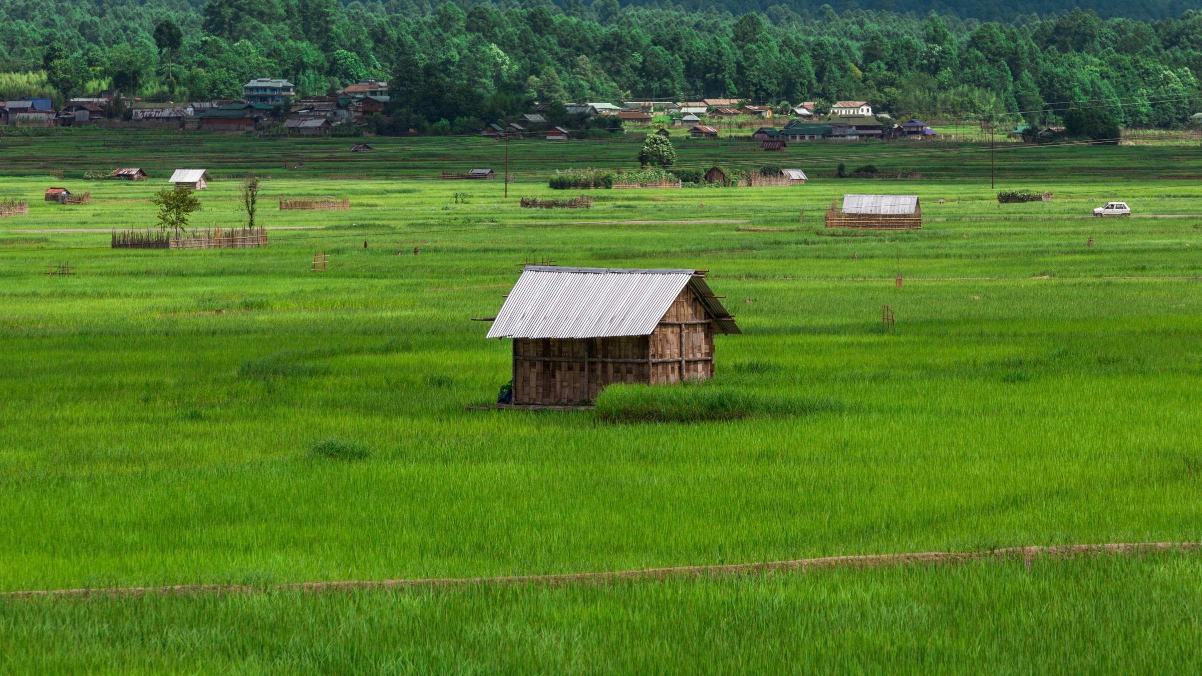 Landscape