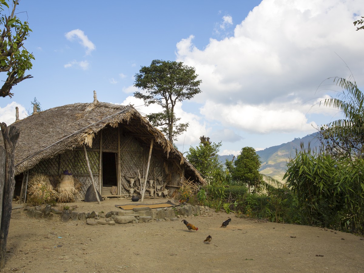A thatched Naga longhouse hung with buffalo skulls, chickens in the yard
