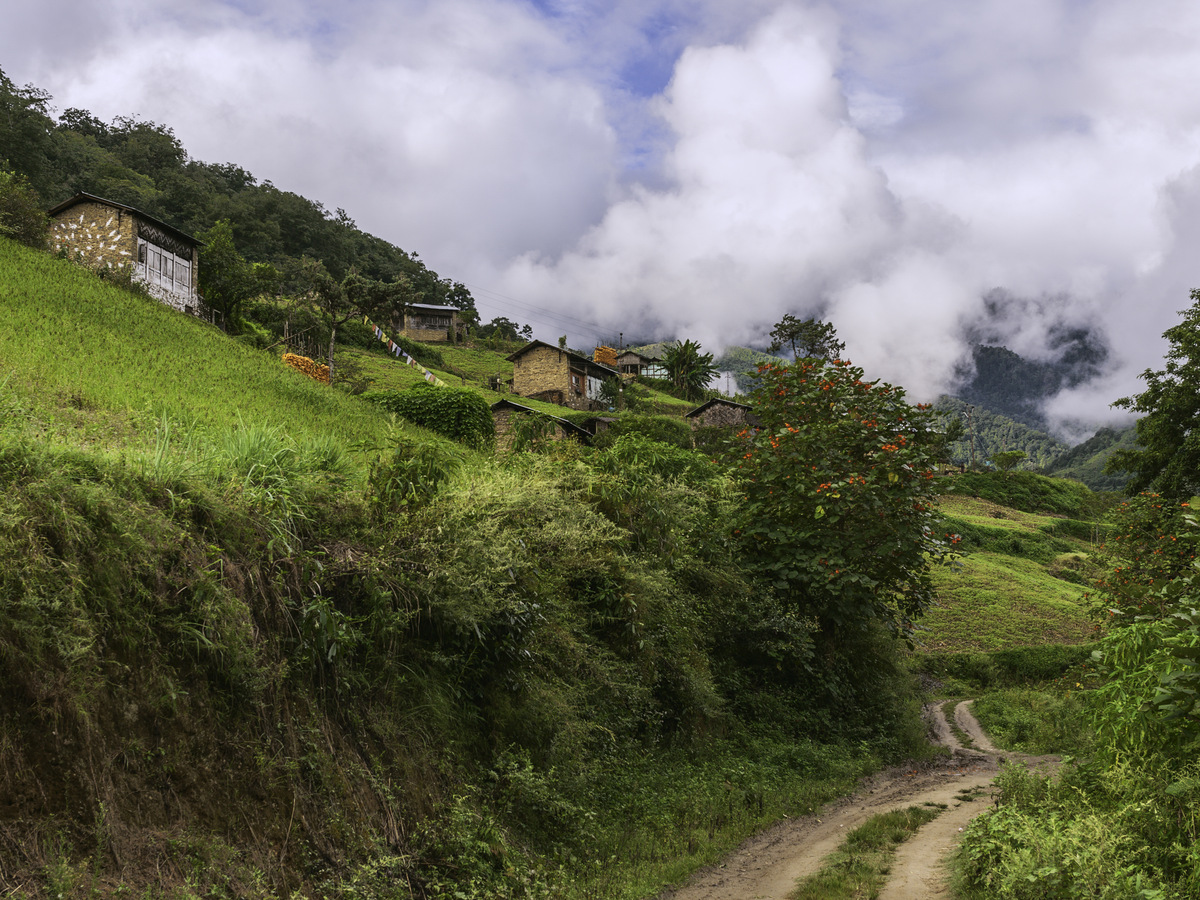 A dirt track climbing past Monpa houses on green terraced slopes