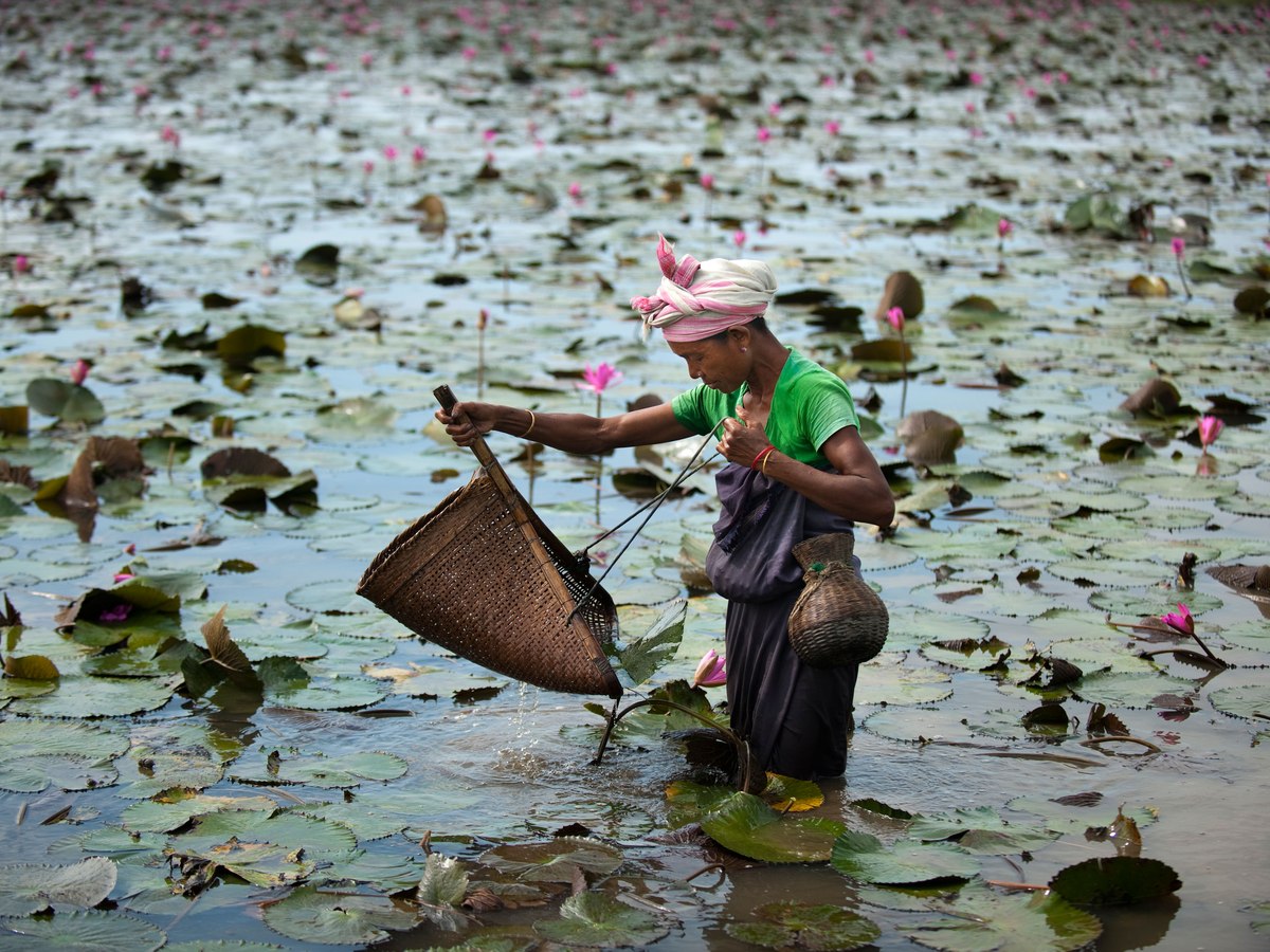 A fisherman casting his net in the wetlands